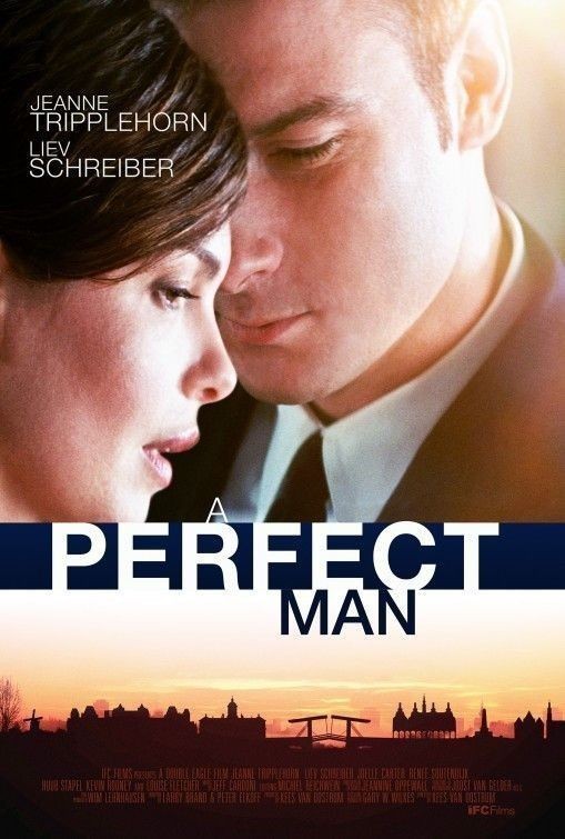 A.Perfect.Man.2013.1080p.WEB-DL.DD5.1.H264-FGT