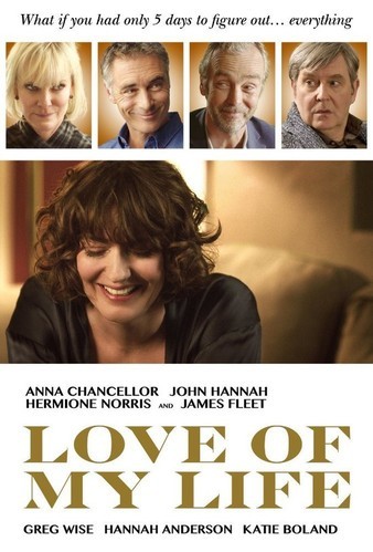 Love.of.My.Life.2017.1080p.BluRay.AVC.DTS-HD.MA.5.1-FGT