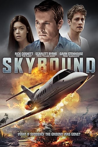 Skybound.2017.1080p.BluRay.x264-LATENCY