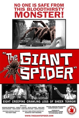The.Giant.Spider.2013.1080p.WEBRip.x264-iNTENSO