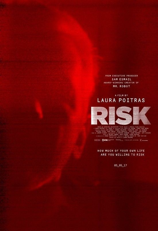 Risk.2016.720p.WEB-DL.DD5.1.H264-Coo7