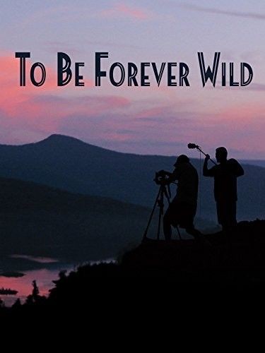 To.Be.Forever.Wild.2013.1080p.WEBRip.DD2.0.x264-monkee