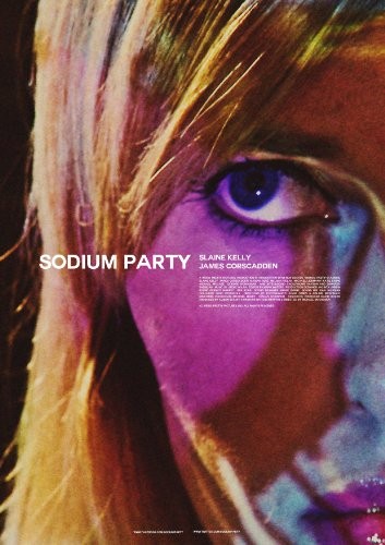 Sodium.Party.2013.1080p.WEBRip.x264-iNTENSO