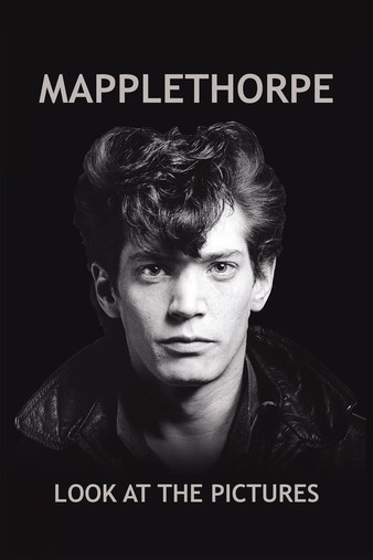 Mapplethorpe.Look.at.the.Pictures.2016.1080p.AMZN.WEBRip.DDP5.1.x264-monkee