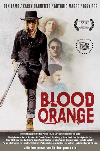 Blood.Orange.2016.1080p.BluRay.REMUX.MPEG-2.DTS-HD.MA.5.1-FGT