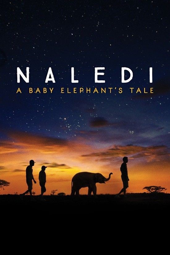 Naledi.A.Baby.Elephants.Tale.2016.1080p.NF.WEBRip.DDP2.0.x264-SiGMA