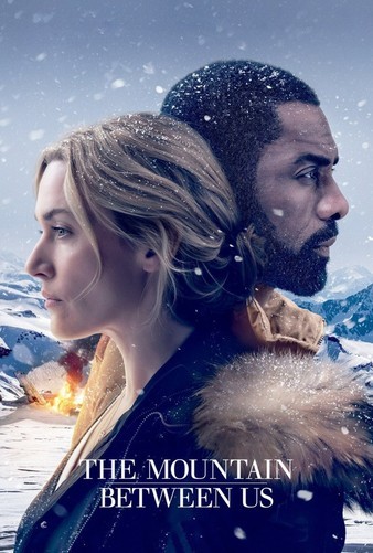 The.Mountain.Between.Us.2017.2160p.BluRay.REMUX.HEVC.DTS-HD.MA.7.1-FGT