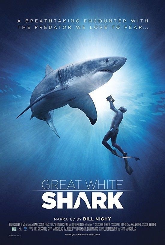 Great.White.Shark.2013.1080p.BluRay.x264.DTS-SWTYBLZ
