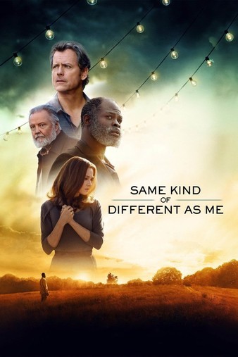Same.Kind.of.Different.as.Me.2017.1080p.BluRay.REMUX.AVC.DTS-HD.MA.5.1-FGT