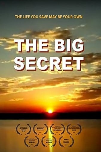 The.Big.Secret.2016.1080p.AMZN.WEBRip.x264-monkee