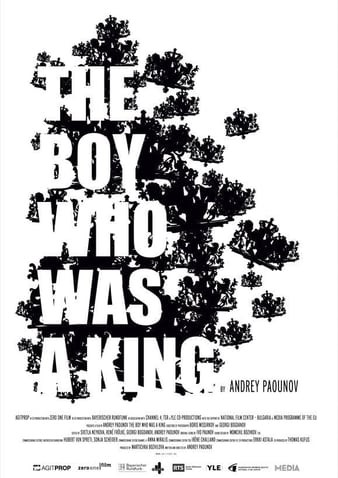 The.Boy.Who.Was.A.King.2011.1080p.AMZN.WEBRip.DD2.0.x264-QOQ